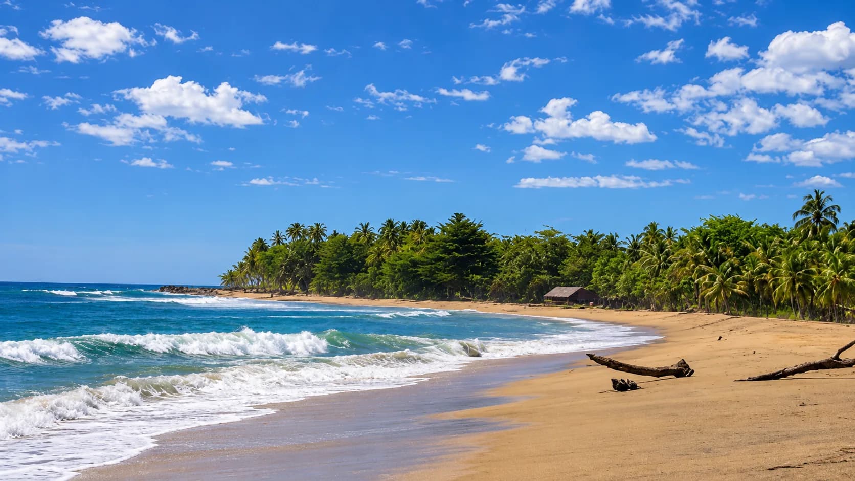 Ilustración de una playa con oleaje, palmeras y una cabaña entre la vegetación