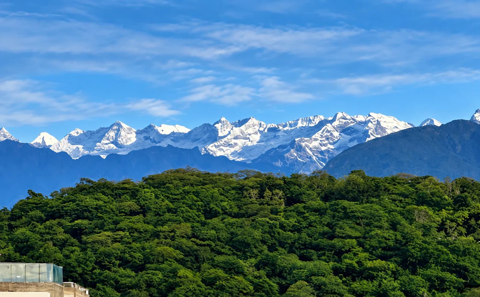 Ilustración de picos nevados sobre un bosque verde bajo un cielo azul
