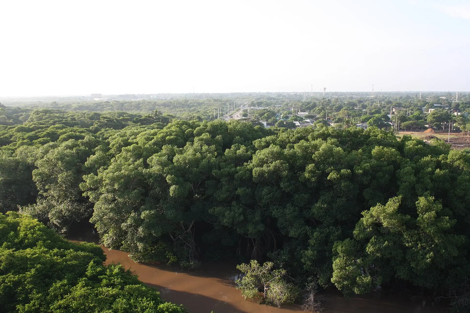 Desembocadura del río Ranchería entre manglares, con la ciudad de Riohacha al fondo